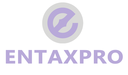 entaxpro | Specialist business advisor, accountants and  lawyers for Founders, Startups & SMEs